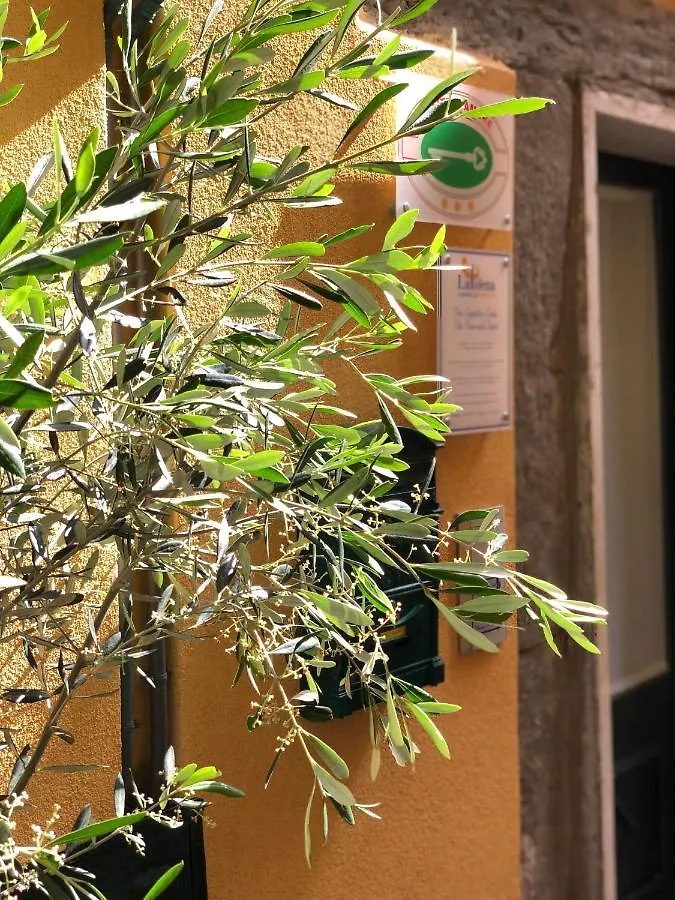 La Polena Camere Vernazza - Suite vista mare Italia
